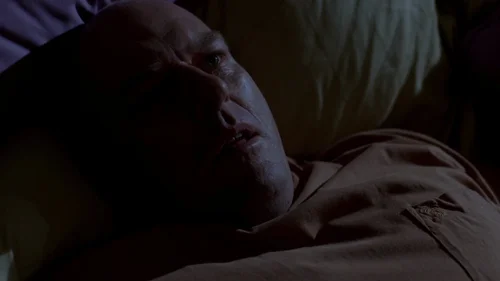 breaking_bad_frames_s2e5_frame_132.webp