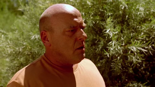 breaking_bad_frames_s2e5_frame_139.webp