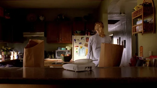 breaking_bad_frames_s2e6_frame_28.webp