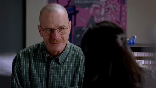 breaking_bad_frames_s2e6_frame_44.webp