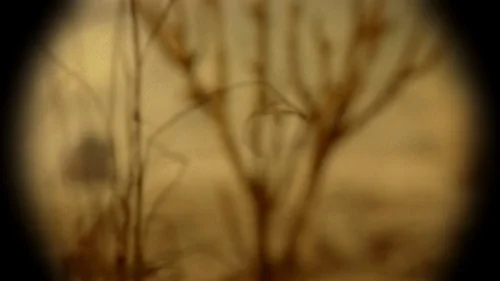 breaking_bad_frames_s2e7_frame_111.webp
