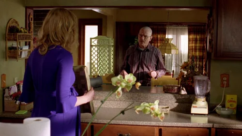 breaking_bad_frames_s2e7_frame_98.webp