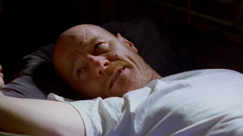 breaking_bad_frames_s2e9_frame_105.webp