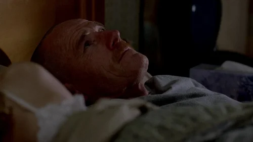 breaking_bad_frames_s2e9_frame_22.webp