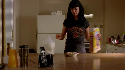 breaking_bad_frames_s2e9_frame_26.webp