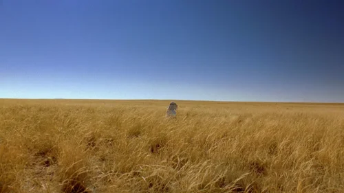 breaking_bad_frames_s2e9_frame_99.webp