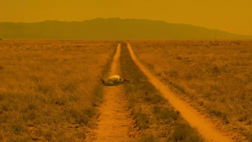 breaking_bad_frames_s3e1_frame_134.webp