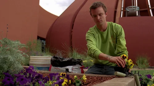 breaking_bad_frames_s3e1_frame_41.webp