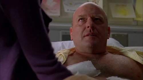 breaking_bad_frames_s3e12_frame_111.webp