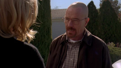 breaking_bad_frames_s3e12_frame_17.webp