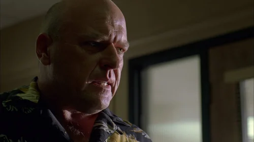 breaking_bad_frames_s3e4_frame_131.webp