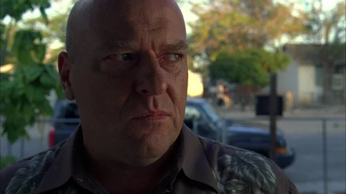 breaking_bad_frames_s3e5_frame_133.webp