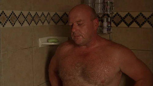 breaking_bad_frames_s3e5_frame_43.webp