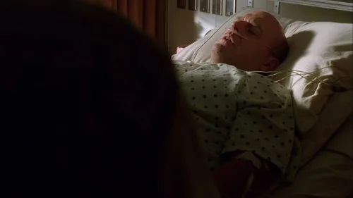 breaking_bad_frames_s3e9_frame_18.webp