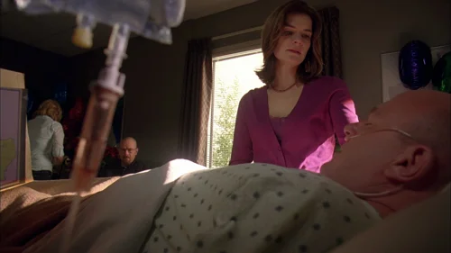 breaking_bad_frames_s3e9_frame_22.webp