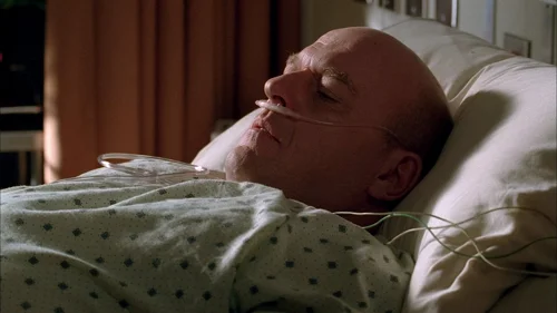 breaking_bad_frames_s3e9_frame_25.webp