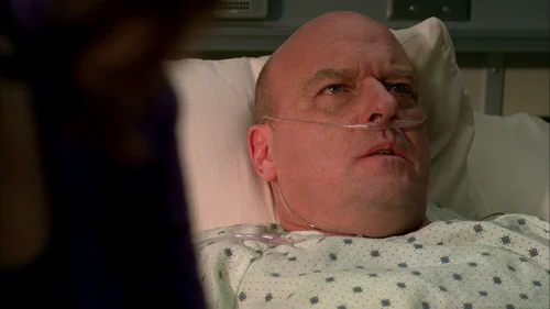 breaking_bad_frames_s3e9_frame_35.webp