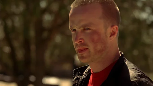 breaking_bad_frames_s4e10_frame_106.webp