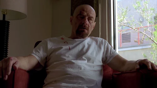breaking_bad_frames_s4e10_frame_43.webp