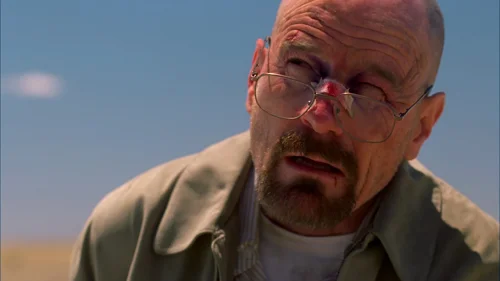 breaking_bad_frames_s4e11_frame_115.webp