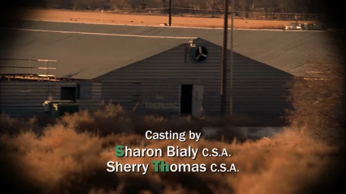 breaking_bad_frames_s4e11_frame_13.webp
