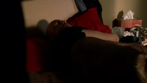 breaking_bad_frames_s4e4_frame_115.webp