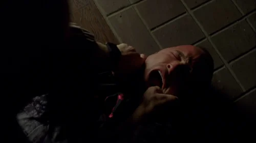 breaking_bad_frames_s4e9_frame_133.webp