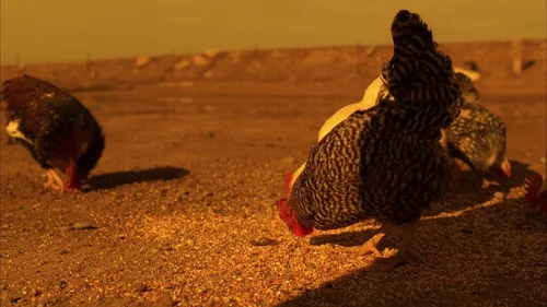 breaking_bad_frames_s5e1_frame_39.webp