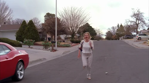 breaking_bad_frames_s5e14_frame_115.webp