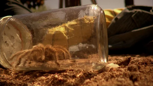 breaking_bad_frames_s5e5_frame_142.webp