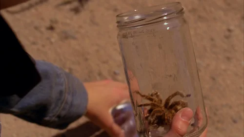 breaking_bad_frames_s5e5_frame_5.webp