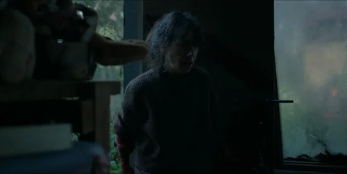 bring_her_back_frames_frame_259.webp