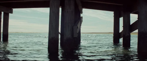 chappaquiddick_frames_frame_161.webp