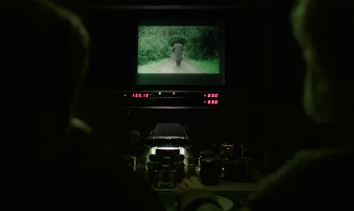 close_your_eyes_frame_1739922103.6154883.webp