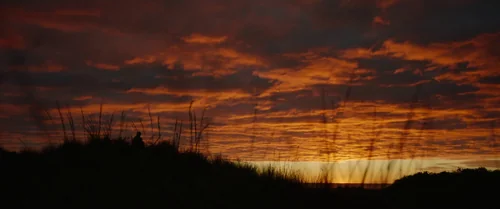 coming_home_in_the_dark_frame_1742497368.039088.webp