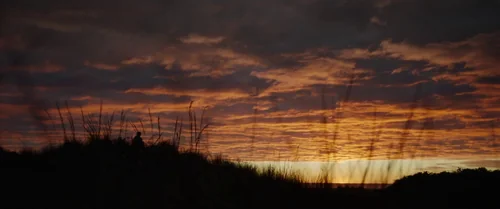 coming_home_in_the_dark_frame_1742497404.4689753.webp