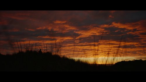 coming_home_in_the_dark_frame_1742497368.039088.jpg