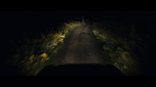 coming_home_in_the_dark_frame_1742497377.4229603.jpg