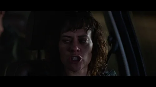 coming_home_in_the_dark_frame_1742497383.1381688.webp