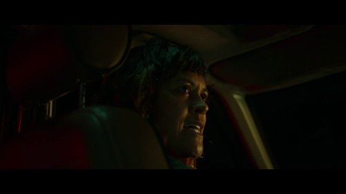 coming_home_in_the_dark_frame_1742497387.2514908.jpg