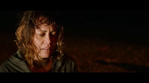 coming_home_in_the_dark_frame_1742497390.8951945.jpg