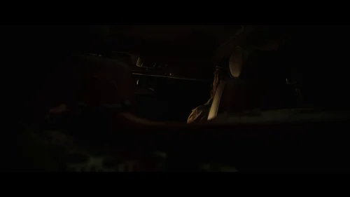 coming_home_in_the_dark_frame_1742497393.9132779.webp