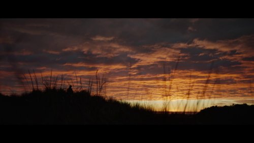 coming_home_in_the_dark_frame_1742497404.4689753.jpg