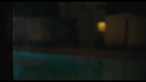 cuck_frames_frame_241.jpg