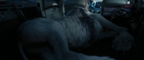 death_of_a_unicorn_frame_1748822582.8091946.jpg