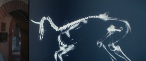 death_of_a_unicorn_frame_1748822586.8569446.jpg