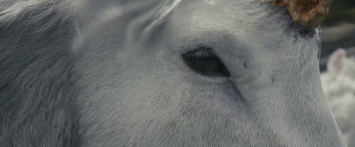 death_of_a_unicorn_frame_1748822604.3113372.jpg