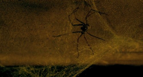 delicatessen_frames_frame_114.jpg
