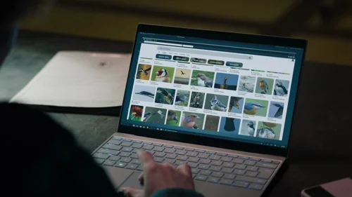 dept._q_frames_s1e3_frame_149.webp