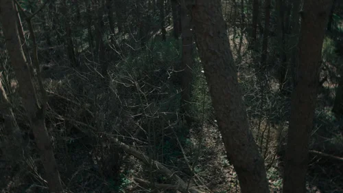 dept._q_frames_s1e3_frame_54.webp